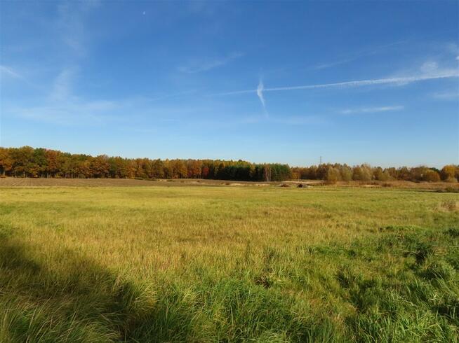 Działka budowlana Chełm Śląski