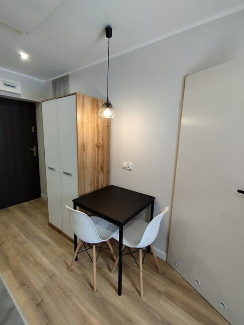 Wynajmę jasną kawalerkę pet friendly, Skarbnika 21