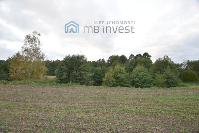 DZIAŁKA ZE STAWEM–OAZA CISZY I NATURY-ŻUŁAWKA