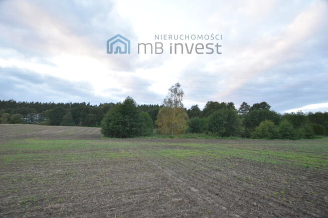 DZIAŁKA ZE STAWEM–OAZA CISZY I NATURY-ŻUŁAWKA