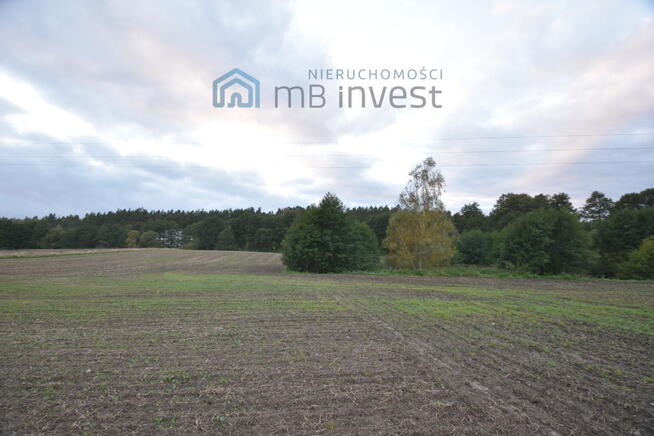 DZIAŁKA ZE STAWEM–OAZA CISZY I NATURY-ŻUŁAWKA