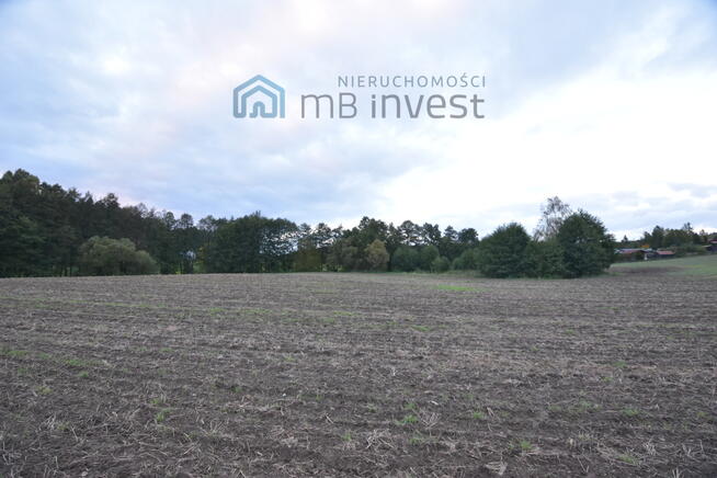 DZIAŁKA ZE STAWEM–OAZA CISZY I NATURY-ŻUŁAWKA