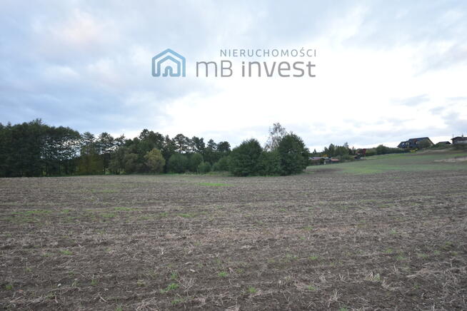 DZIAŁKA ZE STAWEM–OAZA CISZY I NATURY-ŻUŁAWKA