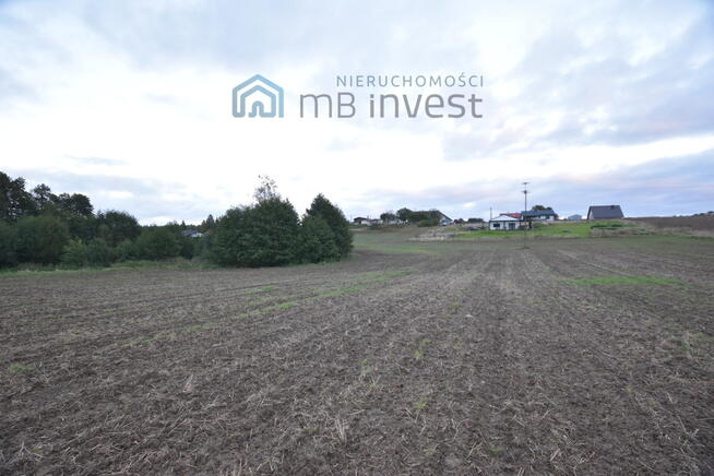 DZIAŁKA ZE STAWEM–OAZA CISZY I NATURY-ŻUŁAWKA