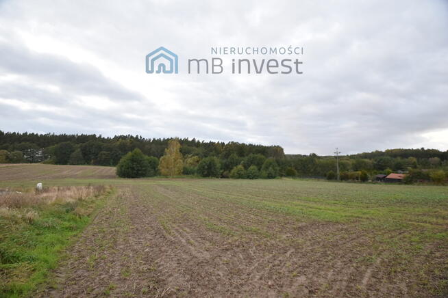 DZIAŁKA ZE STAWEM–OAZA CISZY I NATURY-ŻUŁAWKA