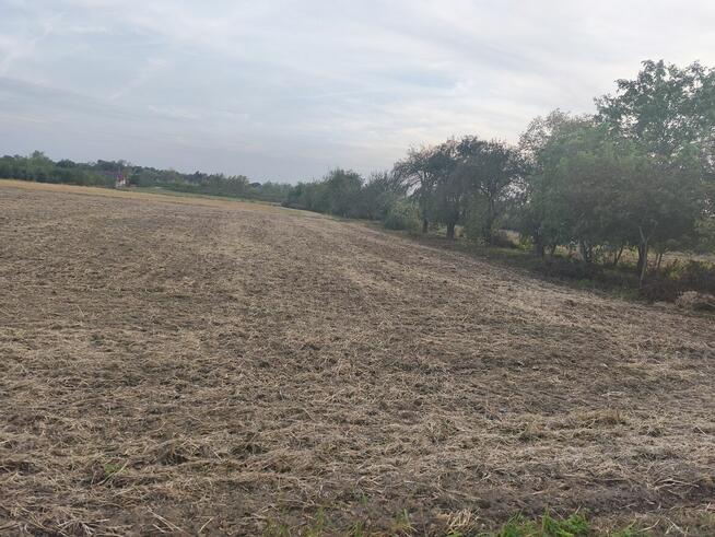 Dom z działką na sprzedaż