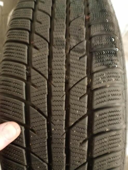 opony zimowe zeetex wp1000