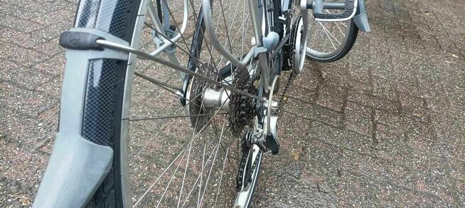 Rower Trekkin/Miejski Gazelle Luzern GoldLine (Holandia)