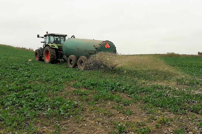 AMU - Sprawdzone bakterie do rozkładu gnojowicy i zapachu