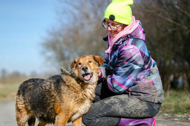 Łagodny Kapral - psi anioł PILNIE szuka domu!
