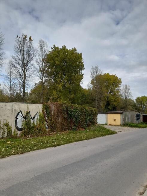 Oddam topole za wycięcie