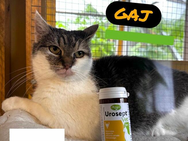 Śnieżynka - biedna chorowitka