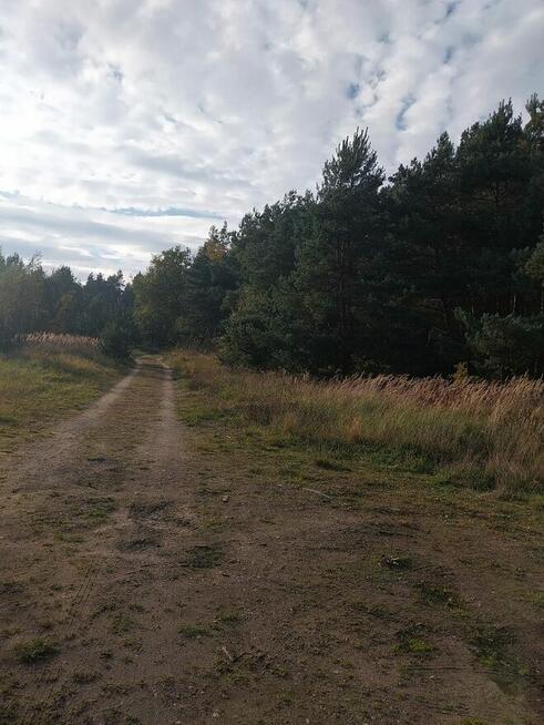 Działka na sprzedaż - 13 359 m² - Karlino