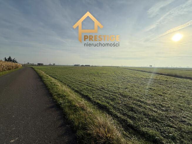 Na sprzedaż działka rolna 1,0969ha Ślesin