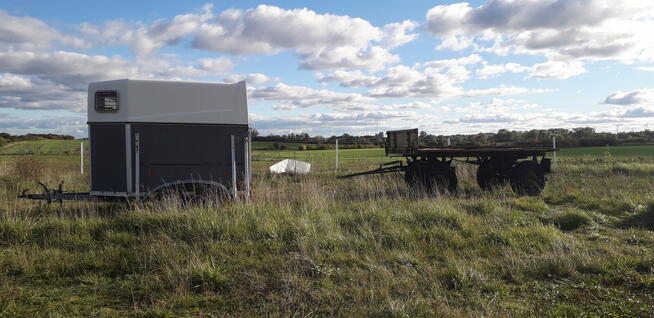 Przyczepa rolnicza D 43