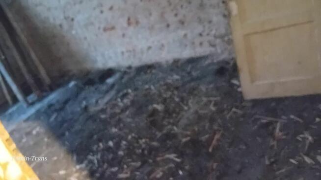 Przygotowanie Mieszkań pod Remont Sprzedaż