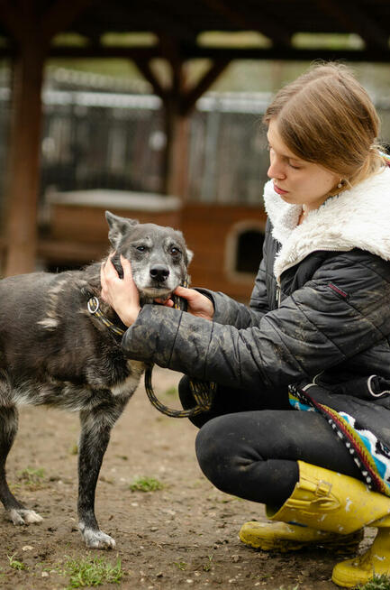 Hektor - nieduży, wesoły psiak który przeżył piekło