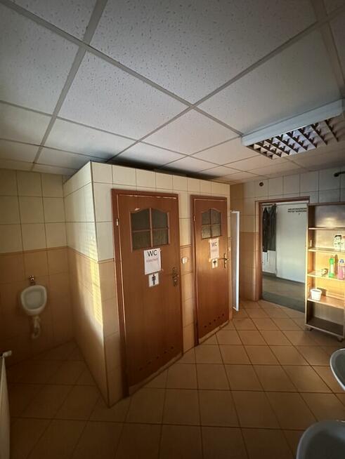 Biuro 100m2 dwa pomieszczenia w TSSE, w Machowie