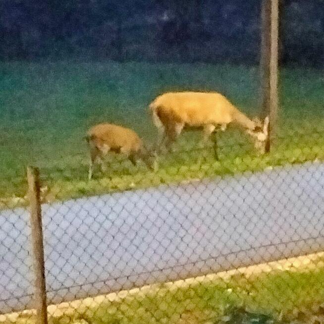 Dom w Wielkiej Wsi gm. Stąporków