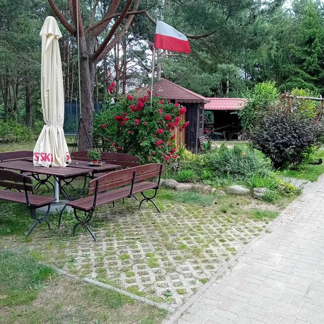 Sprzedam dom w lesie