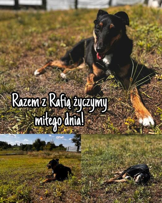 Rafia - ciekawa świata, choć jeszcze troszkę zdystansowana..