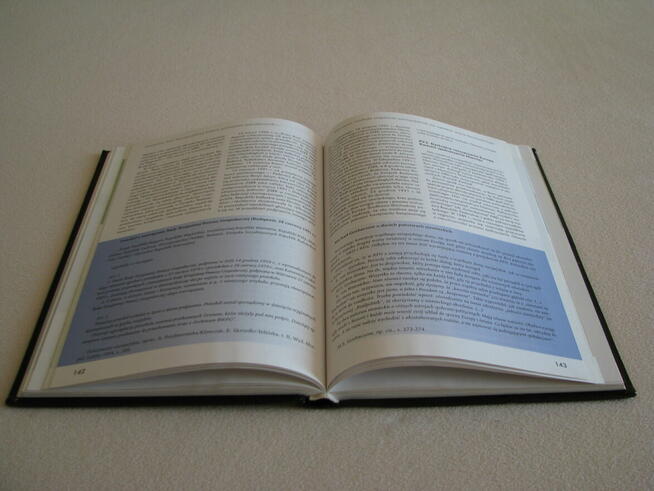 Historia Unii Europejskiej - Łaptos, Prażuch, Pytlarz