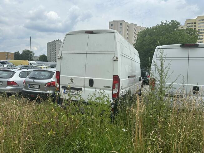 syndyk sprzeda - Peugeot Boxer