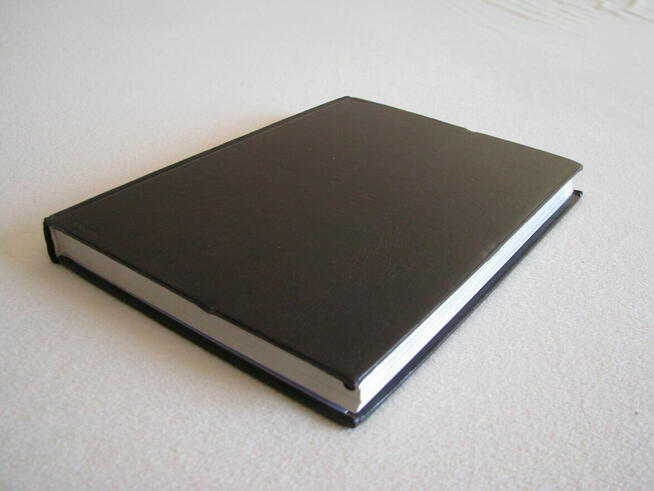 Historia Unii Europejskiej - Łaptos, Prażuch, Pytlarz