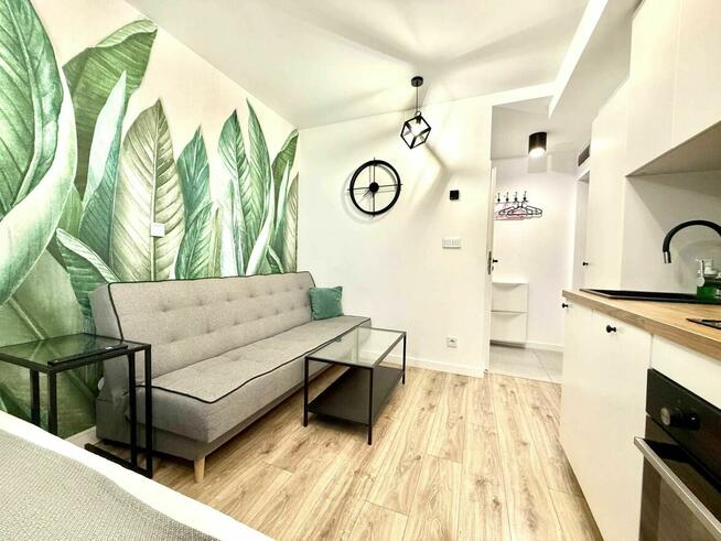 Przytulna kawalerka w centrum Katowic / Internet