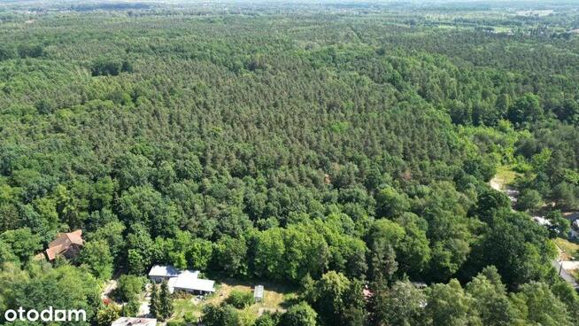 Działka budowalna w Złotokłosie