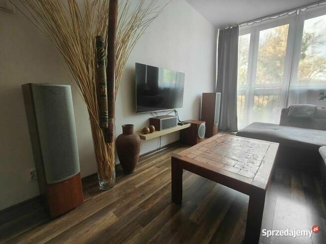 3 pokojowe, przytulne, po remoncie, bez pośredników,.