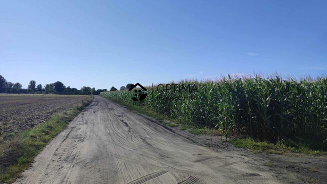 Działka Charzyno gm. Siemyśl