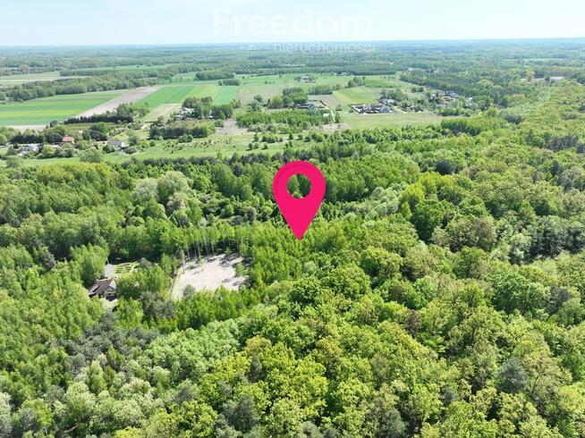 Działka 4058 m² w Studzieńcu, Otulina Bolimowska