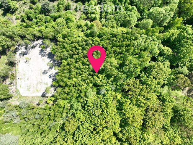 Działka 4058 m² w Studzieńcu, Otulina Bolimowska