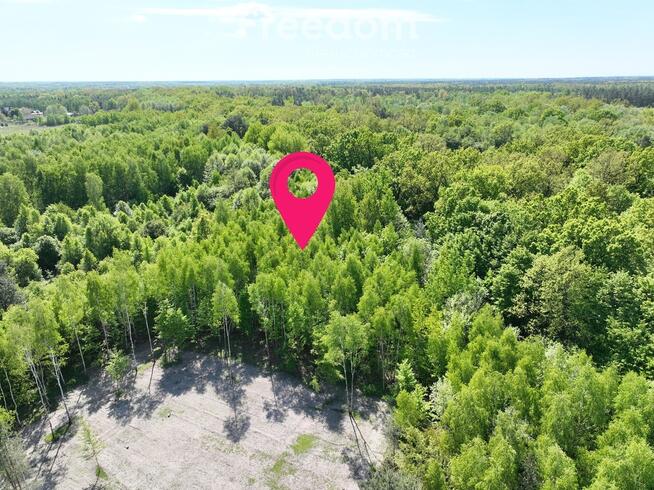 Działka 4058 m² w Studzieńcu, Otulina Bolimowska