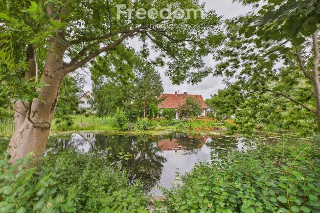 Dom nad rzeką w centrum Nowego Dworu Gdańskiego