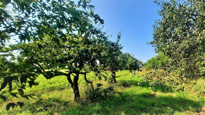 Działka budowlana Boguszewo gm. Mońki,
