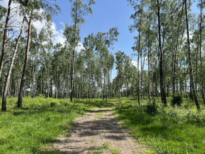 Działka budowlana Dąbrówno,