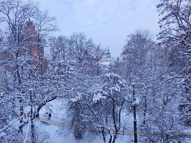 Św. Gertrudy 2, Stare Miasto, 3 pokoje