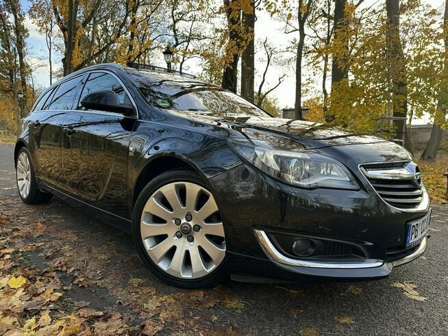 Opel Insignia OPC COSMO Indyvidual 2.0 BiTurbo 195KM Navi Alu19'' Kamera Xenon FULL