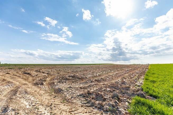 Działka budowlana Wojciechów-Kolonia Pierwsza gm. Wojciechów,