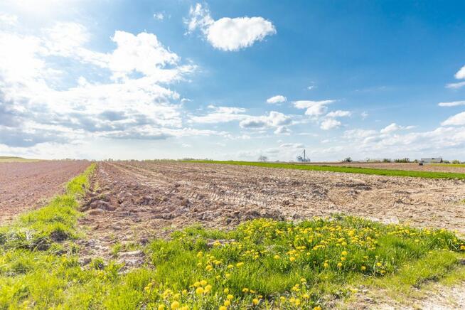 Działka budowlana Wojciechów-Kolonia Pierwsza gm. Wojciechów,