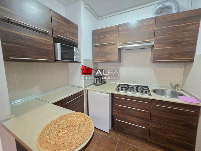 Mieszkanie Świdnica, okolice parku