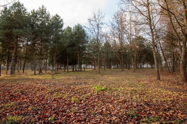 Działka budowlana Koszęcin, Słowików