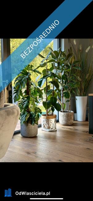 Bliźniak / Dom Stara Wieś osiedle z basenem