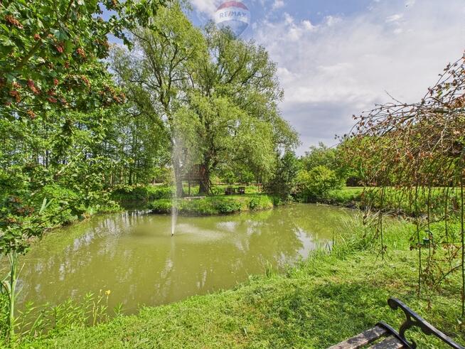 Ranczo w lesie z wyspą stawem basenem stajnią