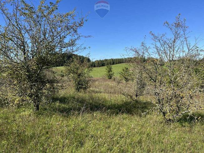 Działka na Mazurach - 3 chwile do jeziora