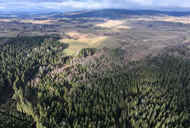 Działka rolna Czarna Lipie