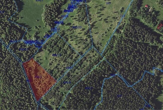Działka rolna Czarna Lipie