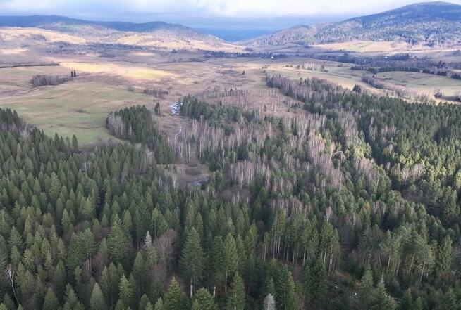 Działka rolna Czarna Lipie